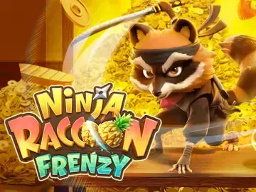 Ninja Raccoon Frenzy